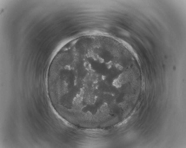 X0000085040863200703191231