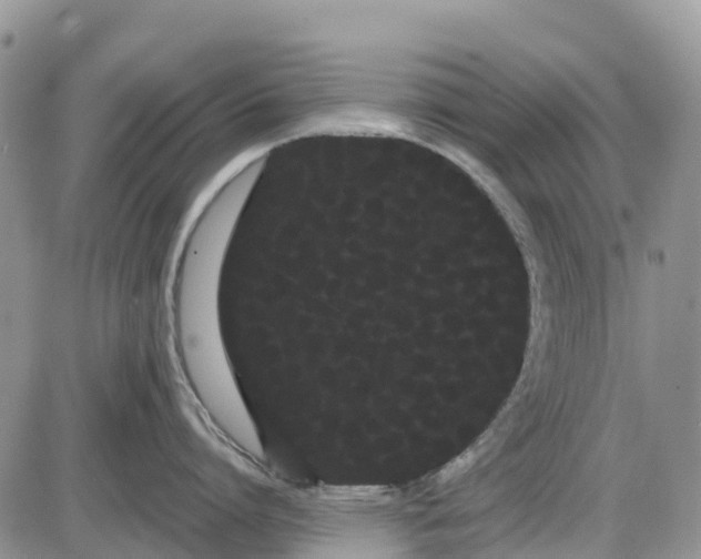 X0000085040864200703191231