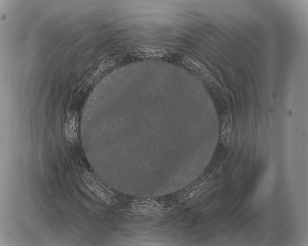 X0000085040866200703191230