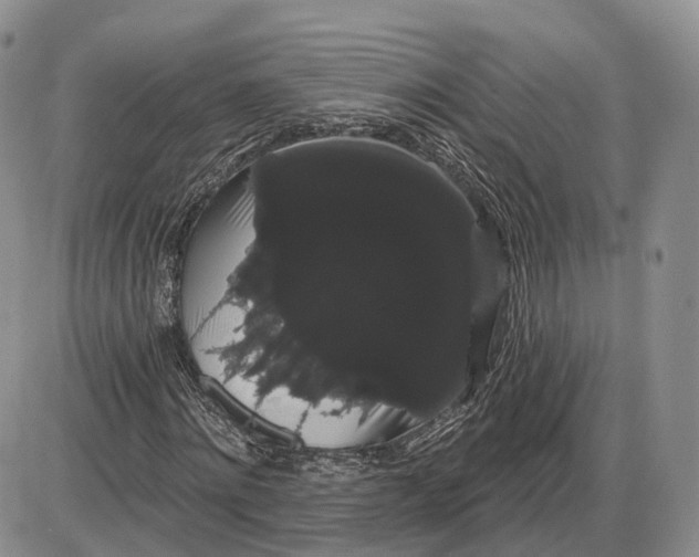 X0000085040868200703191230