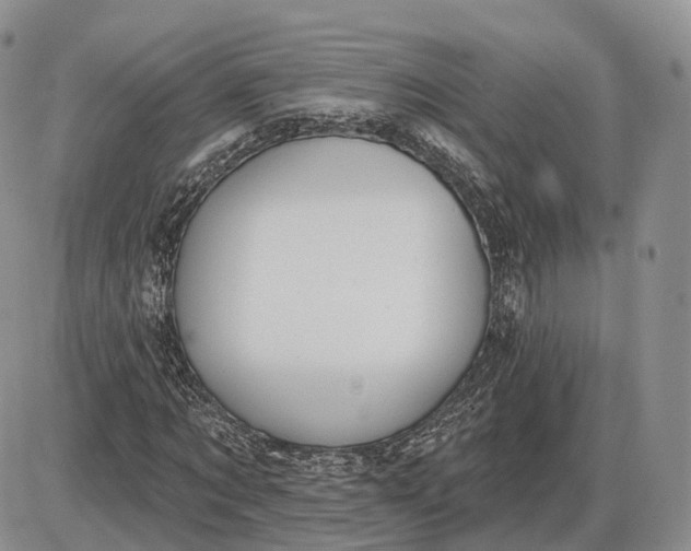 X0000085040869200703191230