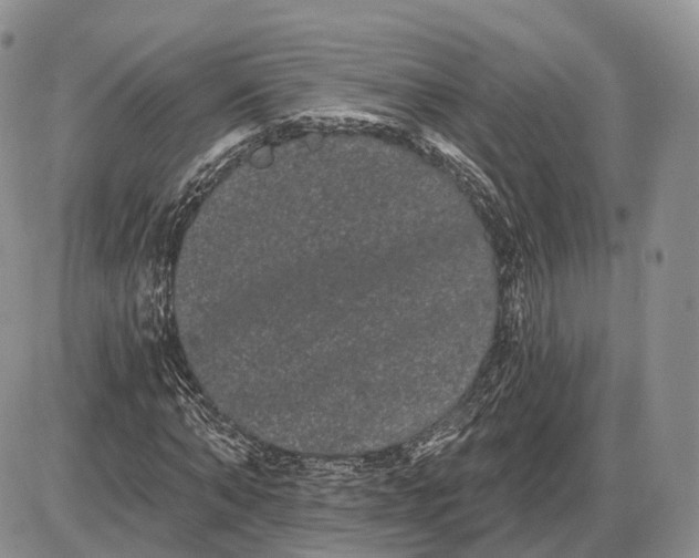 X0000085040870200703191230