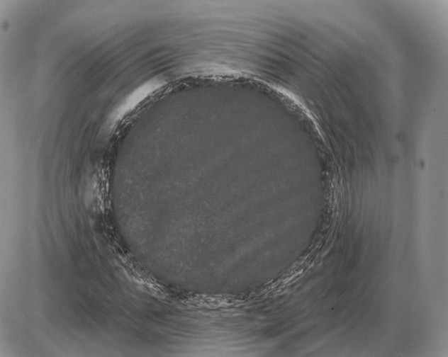 X0000085040871200703191230