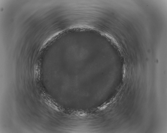 X0000085040872200703191230