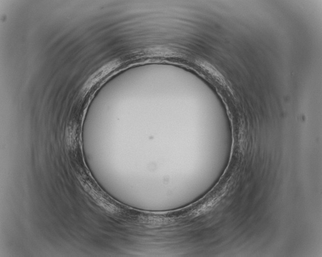 X0000085040873200703191230