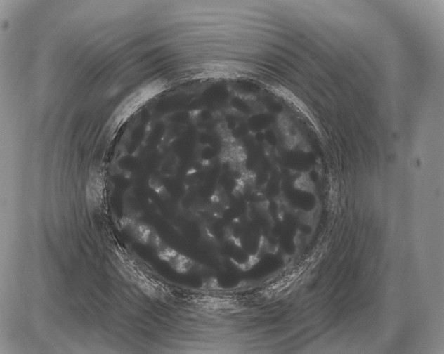 X0000085040874200703191230