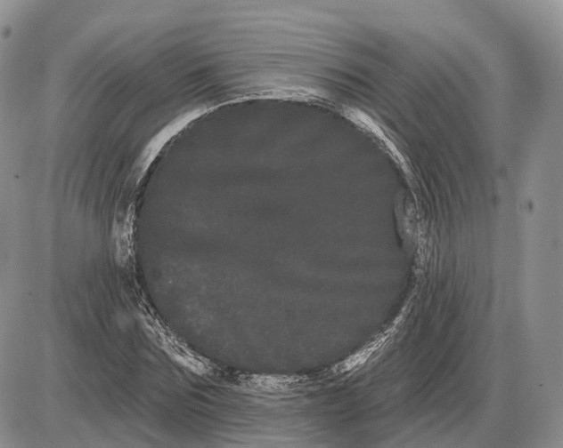 X0000085040875200703191230