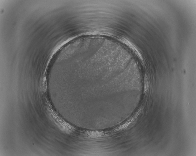 X0000085040876200703191230