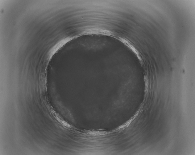 X0000085040877200703191230