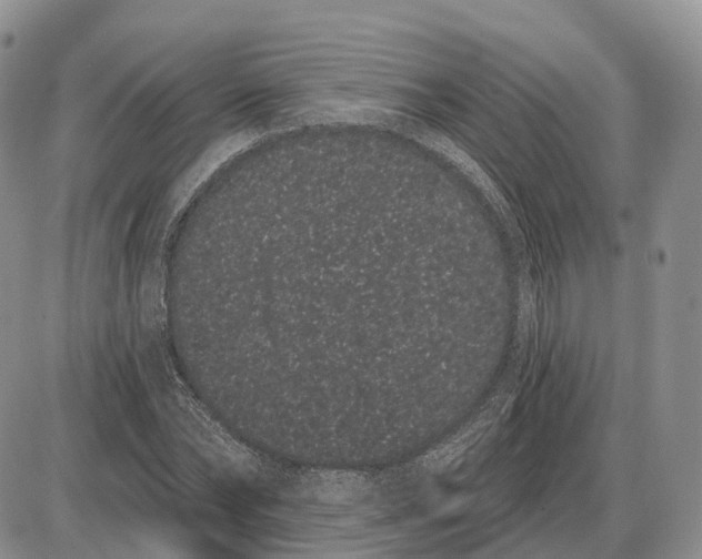 X0000085040878200703191230