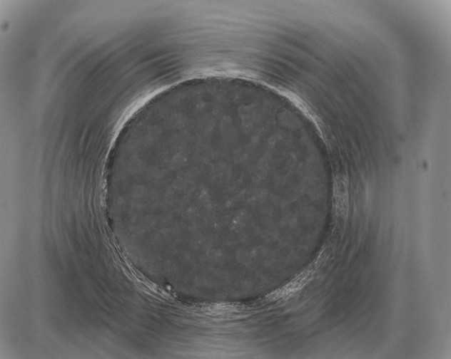 X0000085040879200703191230