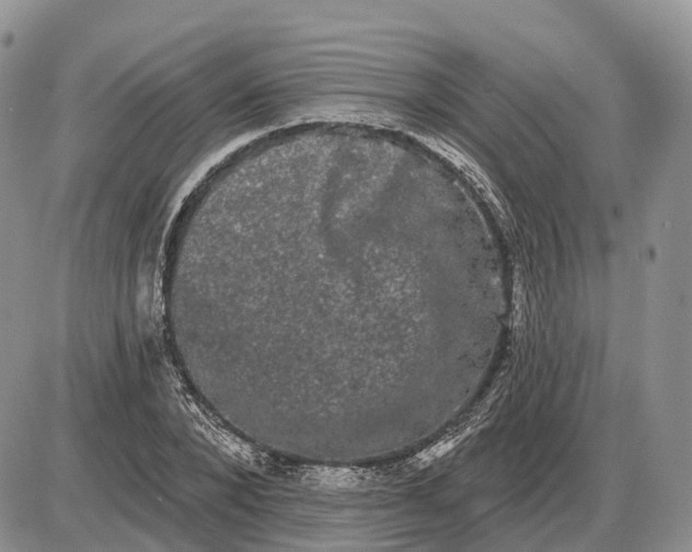 X0000085040880200703191230