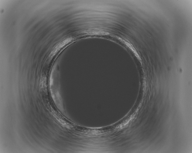 X0000085040881200703191230