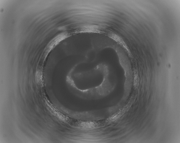 X0000085040882200703191230