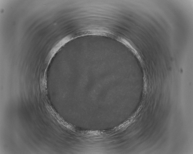 X0000085040883200703191230