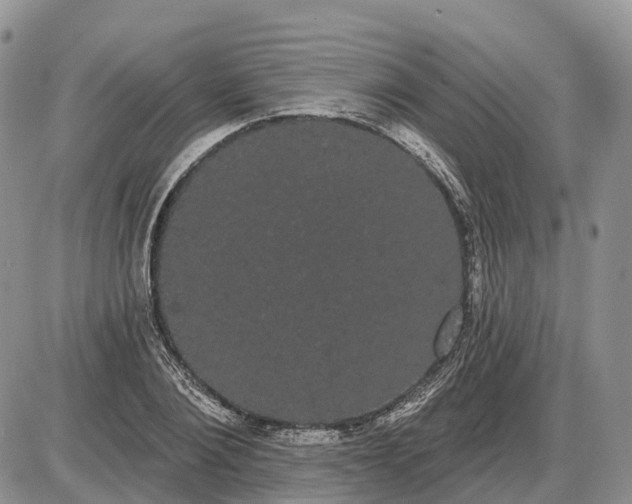 X0000085040884200703191230