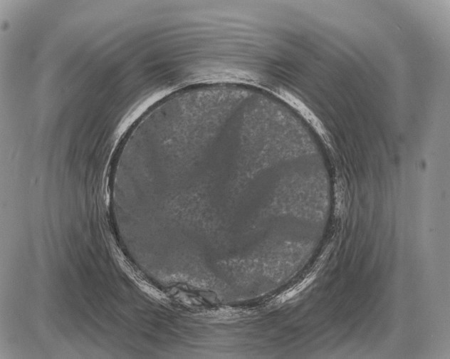 X0000085040885200703191230