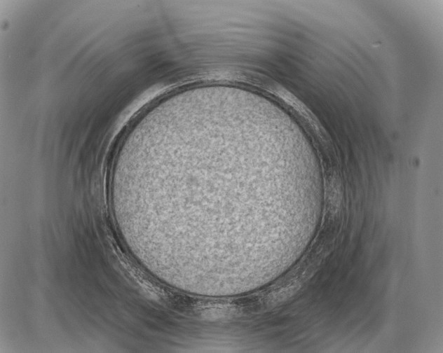 X0000085040886200703191230