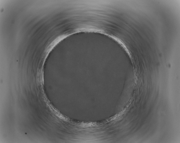 X0000085040887200703191230