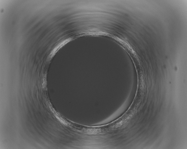 X0000085040889200703191230