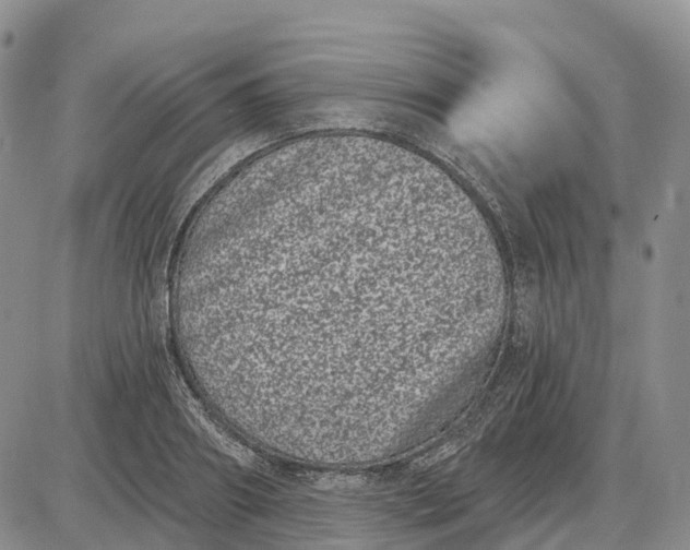 X0000085040890200703191230