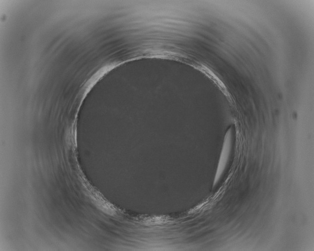 X0000085040891200703191230