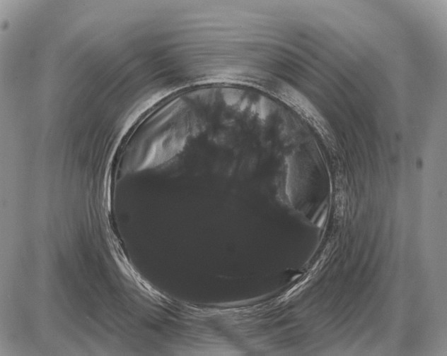 X0000085040892200703191230