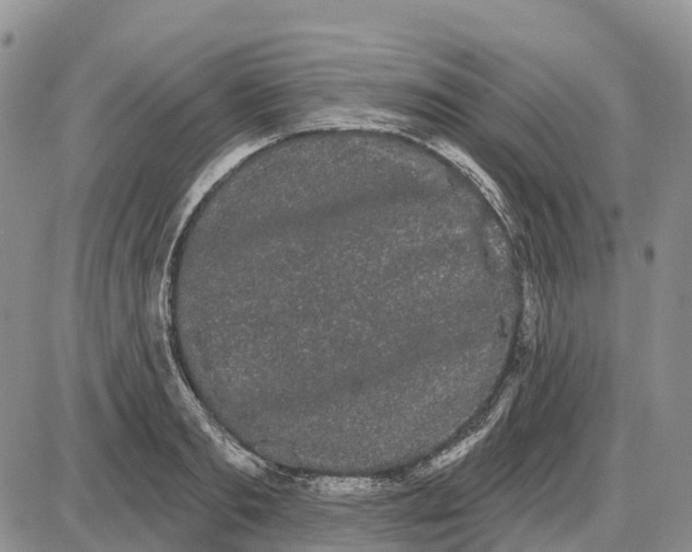 X0000085040893200703191230