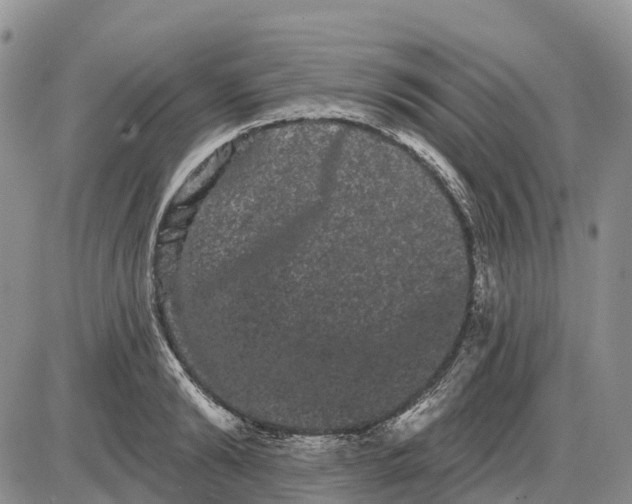 X0000085040894200703191230