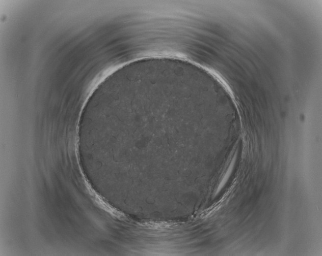 X0000085040895200703191230