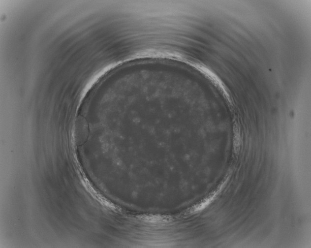 X0000085040896200703191230