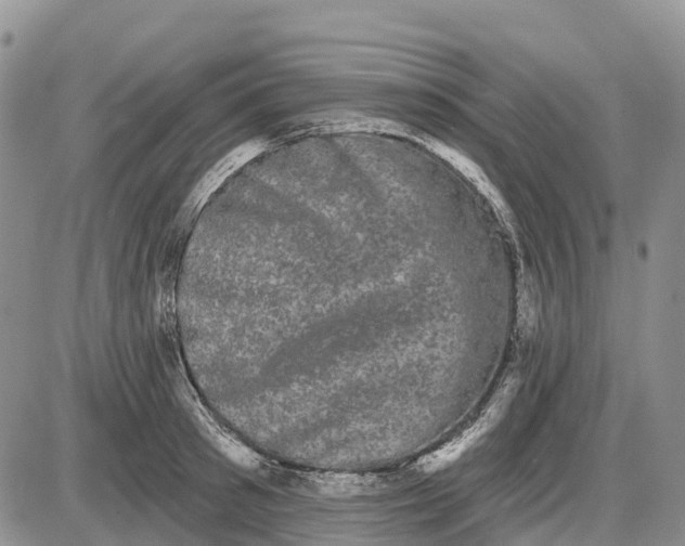 X0000085040897200703191230