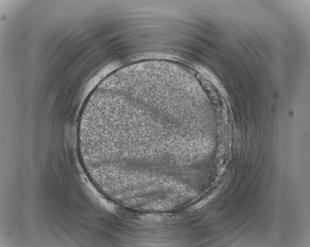 X0000085040898200703191230