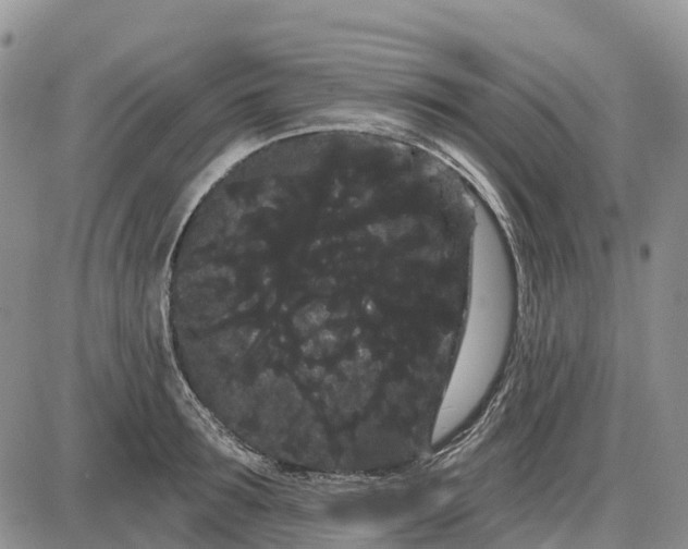 X0000085040899200703191230