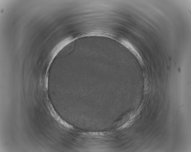 X0000085040900200703191230