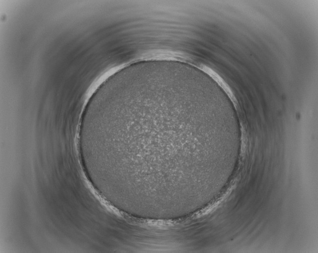 X0000085040901200703191230