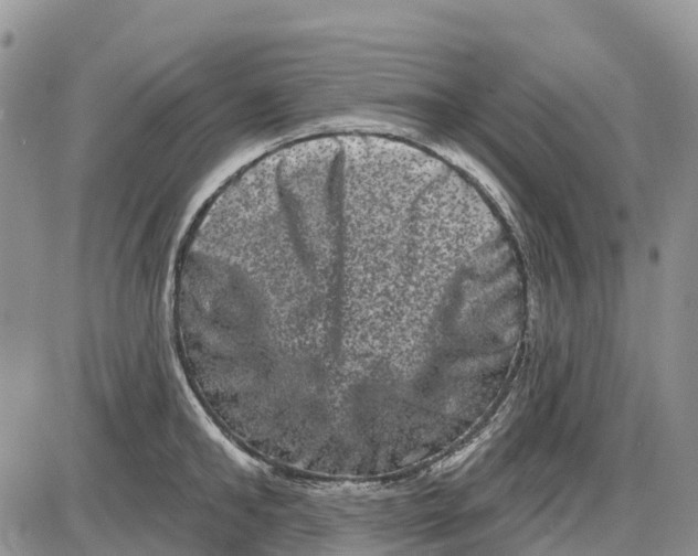 X0000085040902200703191230