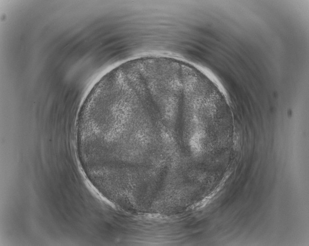 X0000085040903200703191230