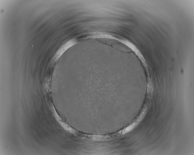 X0000085040905200703191230