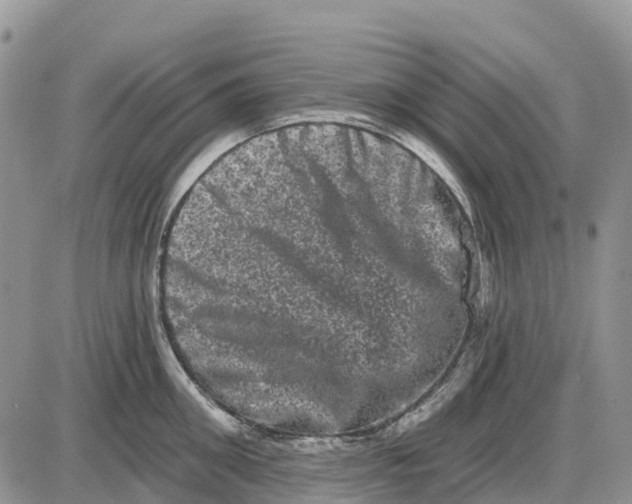 X0000085040906200703191230