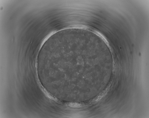 X0000085040907200703191230