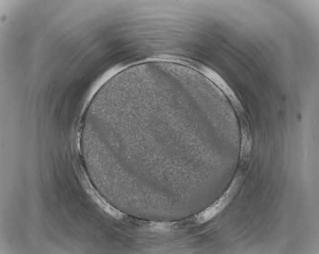 X0000085040908200703191230