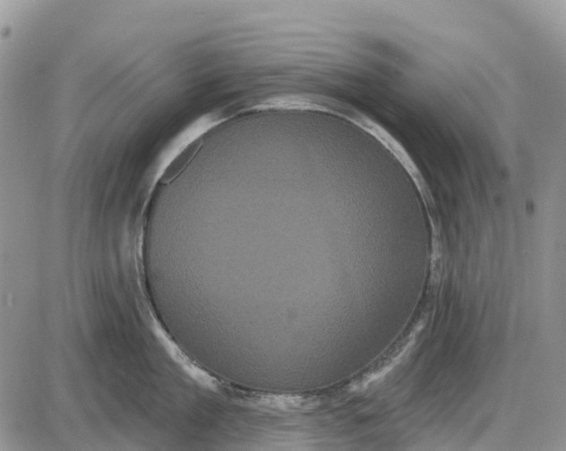 X0000085040909200703191230