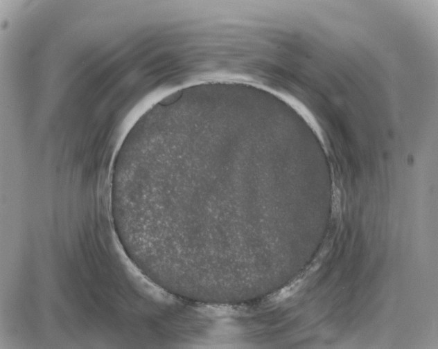 X0000085040911200703191230