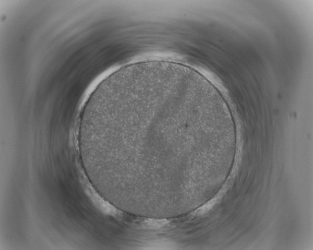 X0000085040912200703191230