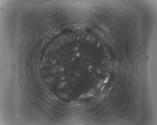 X0000085040913200703191229