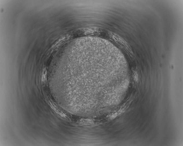 X0000085040914200703191229