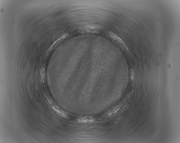 X0000085040915200703191229