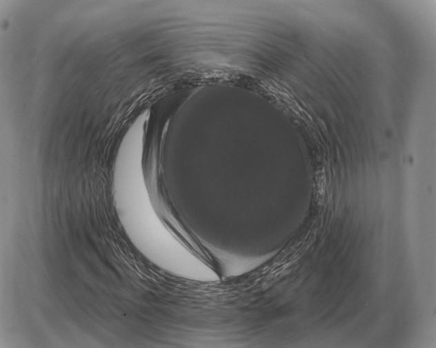 X0000085040916200703191229