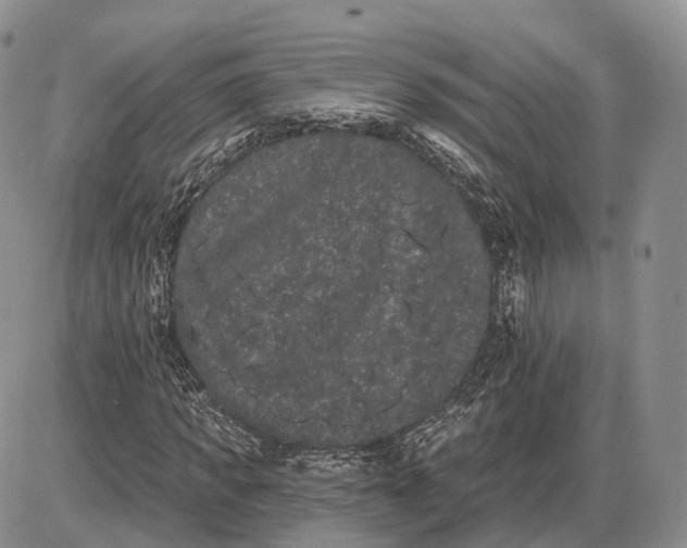 X0000085040917200703191229